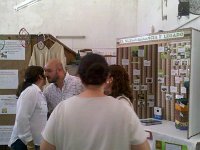 2013-10-17 11-24-14 450